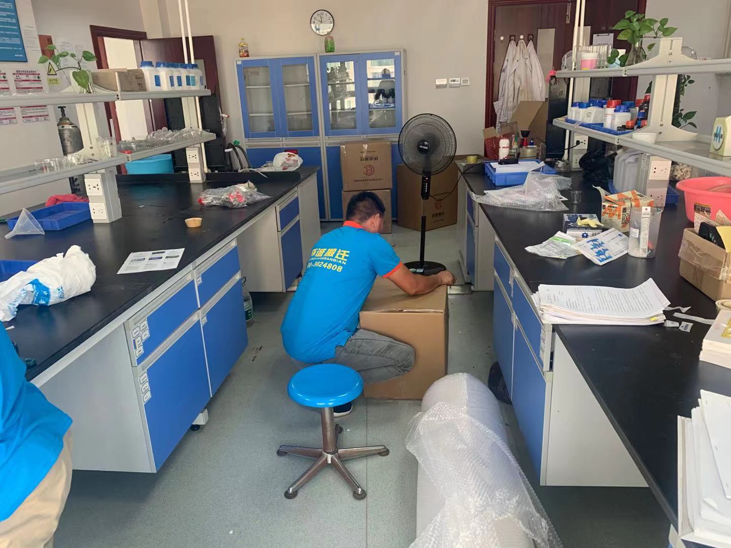 微生物实验室安全等级的分类